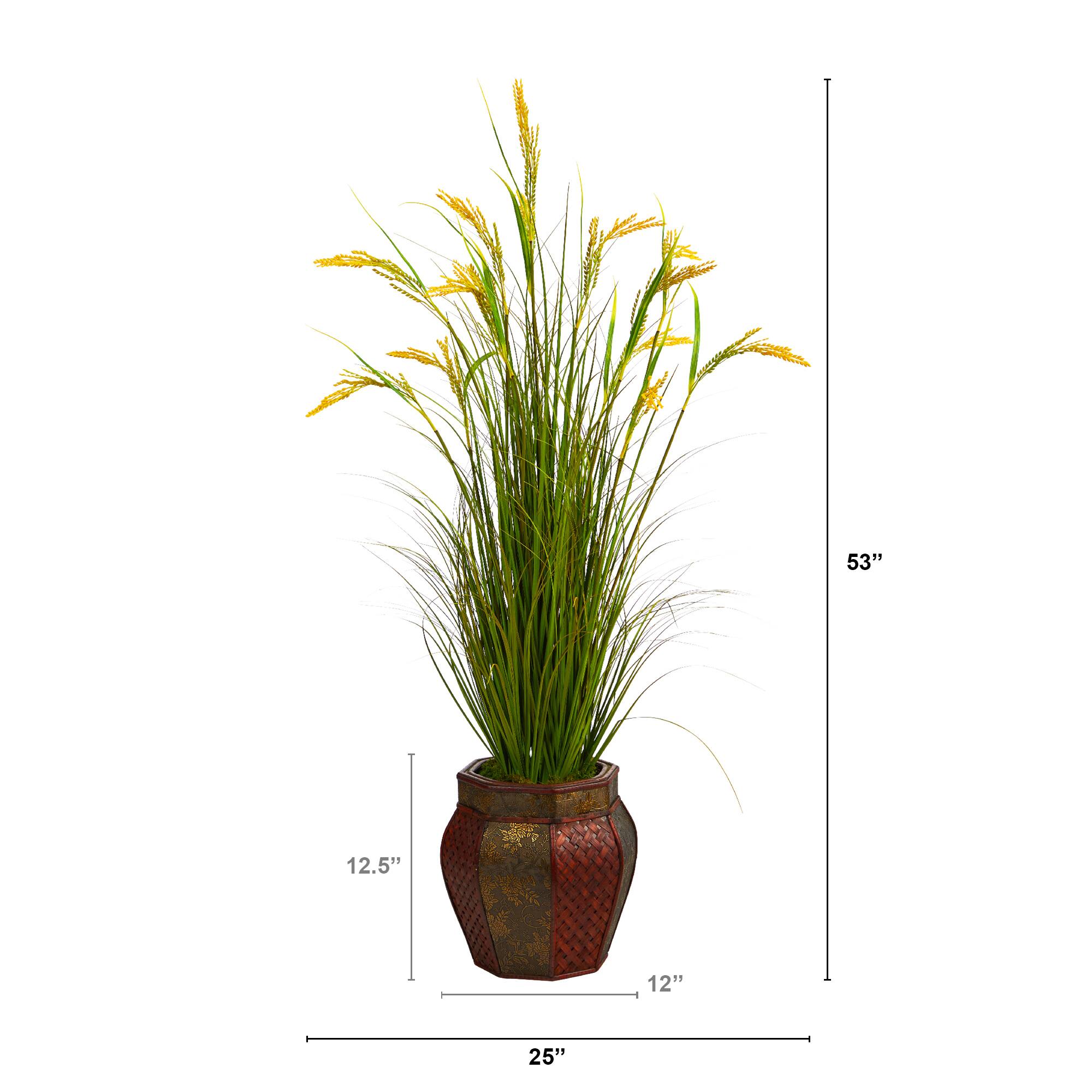 4.4ft. Wheat Grain Plant in Decorative Planter